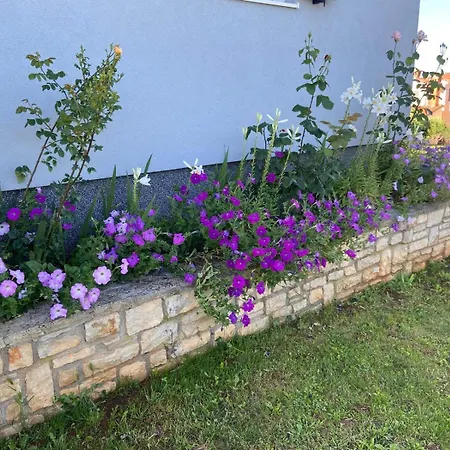 Vakantiehuis Mihaela Višnjan